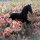 Иконка канала Avant-guard ( Horse Schleich) Лошади Шляйх.