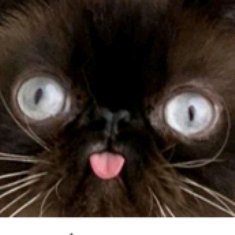 Иконка канала Makson