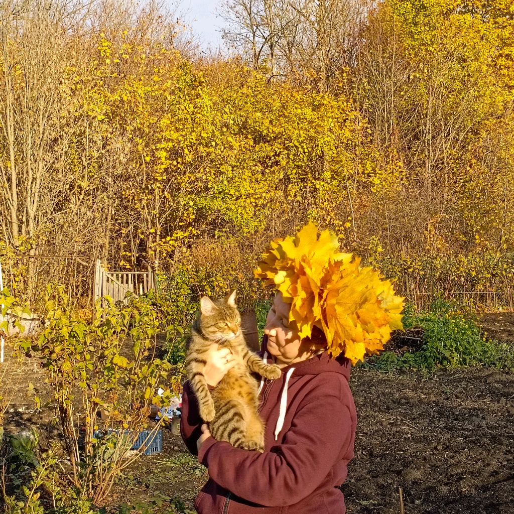 Иконка канала Деревня Стайл