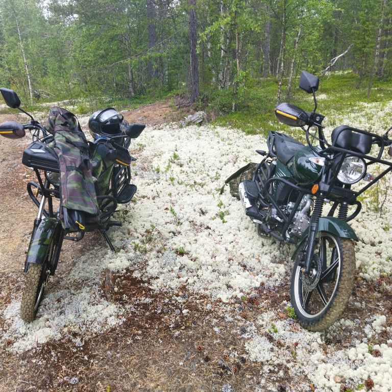 Иконка канала Лесовики