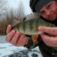 Иконка канала Алексей Лёвин. Рыбалка В Волгоградской области..