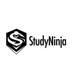 Иконка канала Study Ninja — ИИ-репетитор