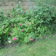 Иконка канала По Черному морю.От Туапсе до Волконской.Море,пляжи