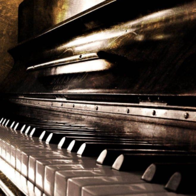 Иконка канала Софья Оголюк