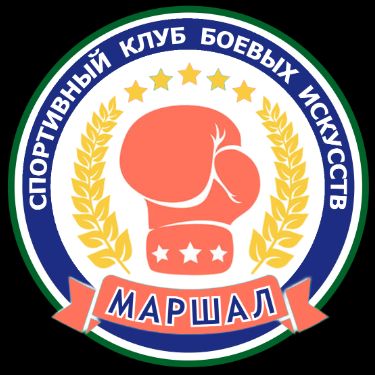 Иконка канала СКБИ "Маршал" - бокс, ММА, БЖЖ, муайтай