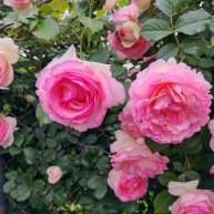 Иконка канала ГалаВлад-Мир вокруг