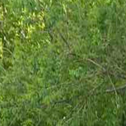 Иконка канала Ирина + Мишка