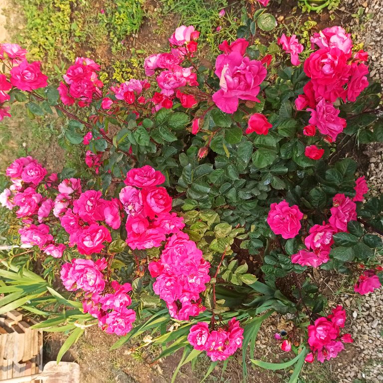 Иконка канала OlgaVladimirovna