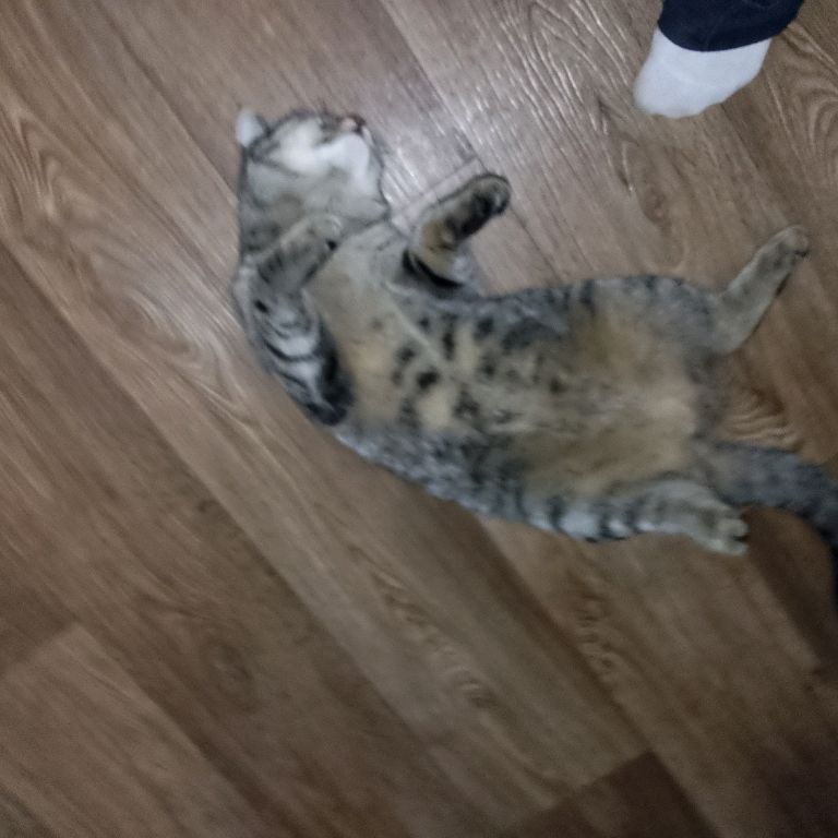 Иконка канала Канал Майнкрафта