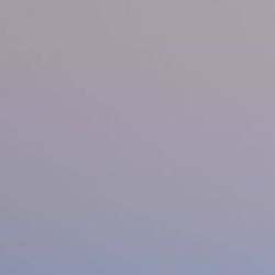 Иконка канала WHIEDA Сургут Эльвира Давлетова.