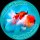 Иконка канала Андрей Дунаев - Oranda Goldfish