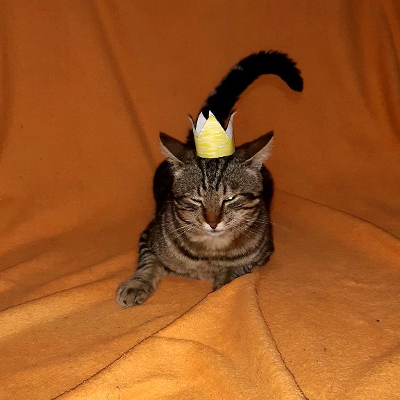 Иконка канала 🐱CAT МУЛЬТИК🐱