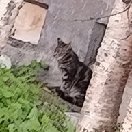 Иконка канала Ерунда