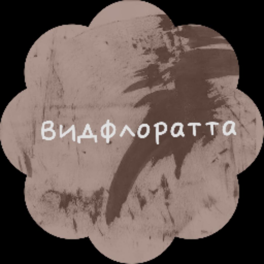 Иконка канала Видфлората