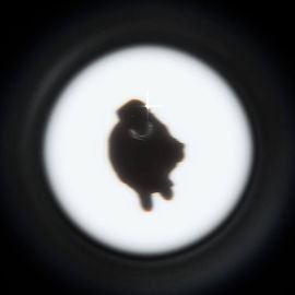 Иконка канала дако иои