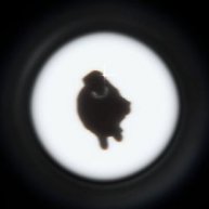 Иконка канала дако иои