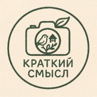 Иконка канала Краткий Смысл
