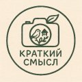 Иконка канала Краткий Смысл