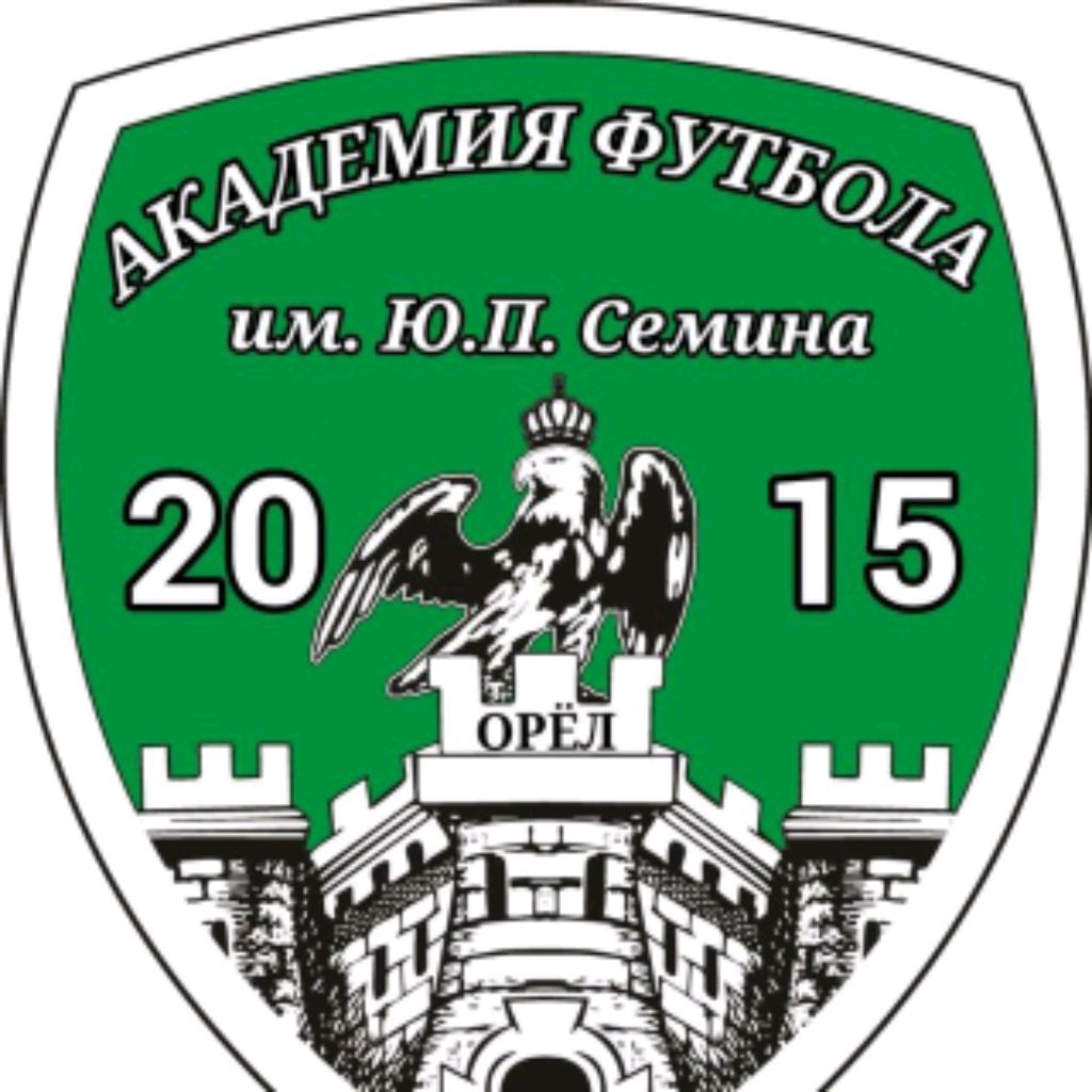 Иконка канала Академия футбола им. Ю.П. Сёмина 2015