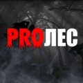 Иконка канала PROЛЕС