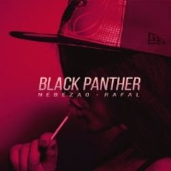 Иконка канала PantherBorza