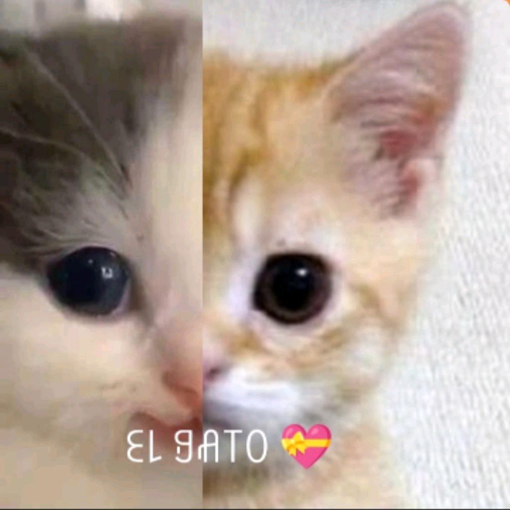 Иконка канала ꏂ꒒ ꍌꋬ꓄ꄲ💝