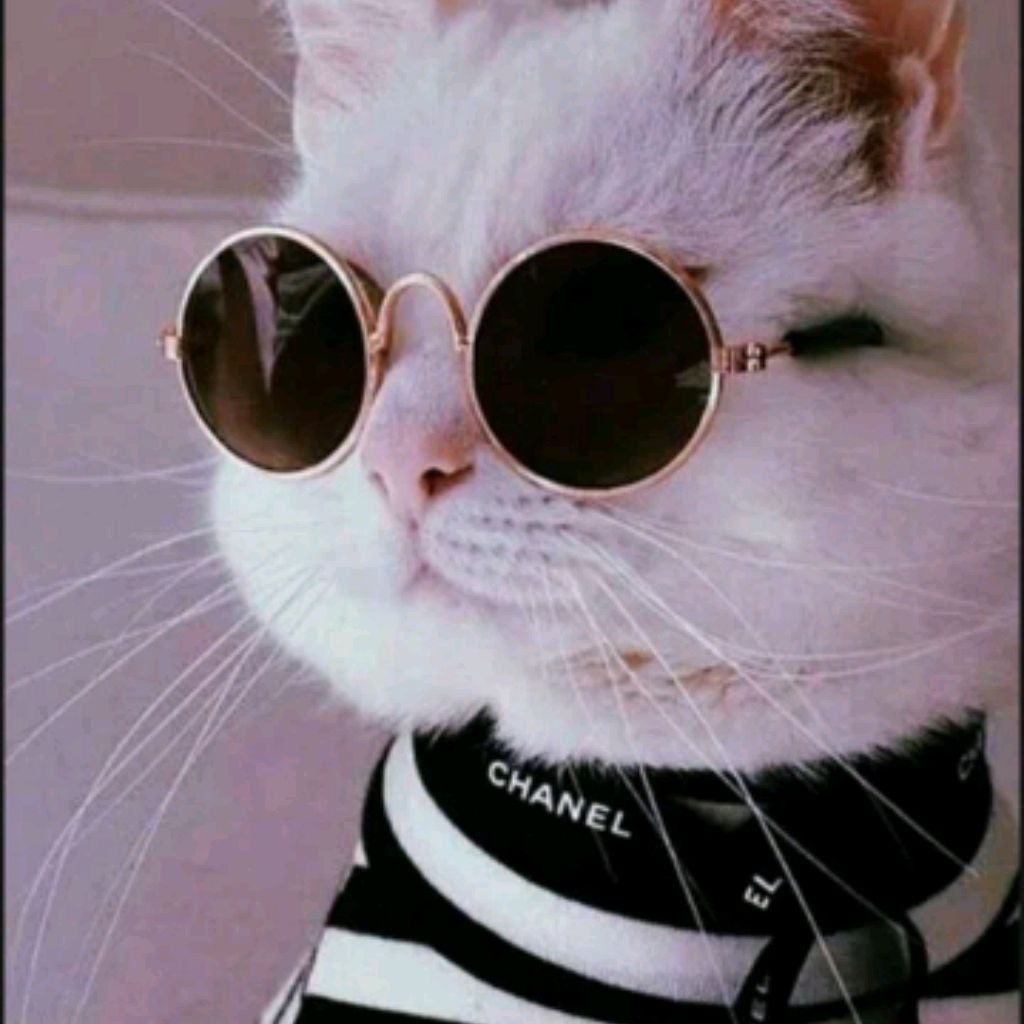 Иконка канала channel65674853