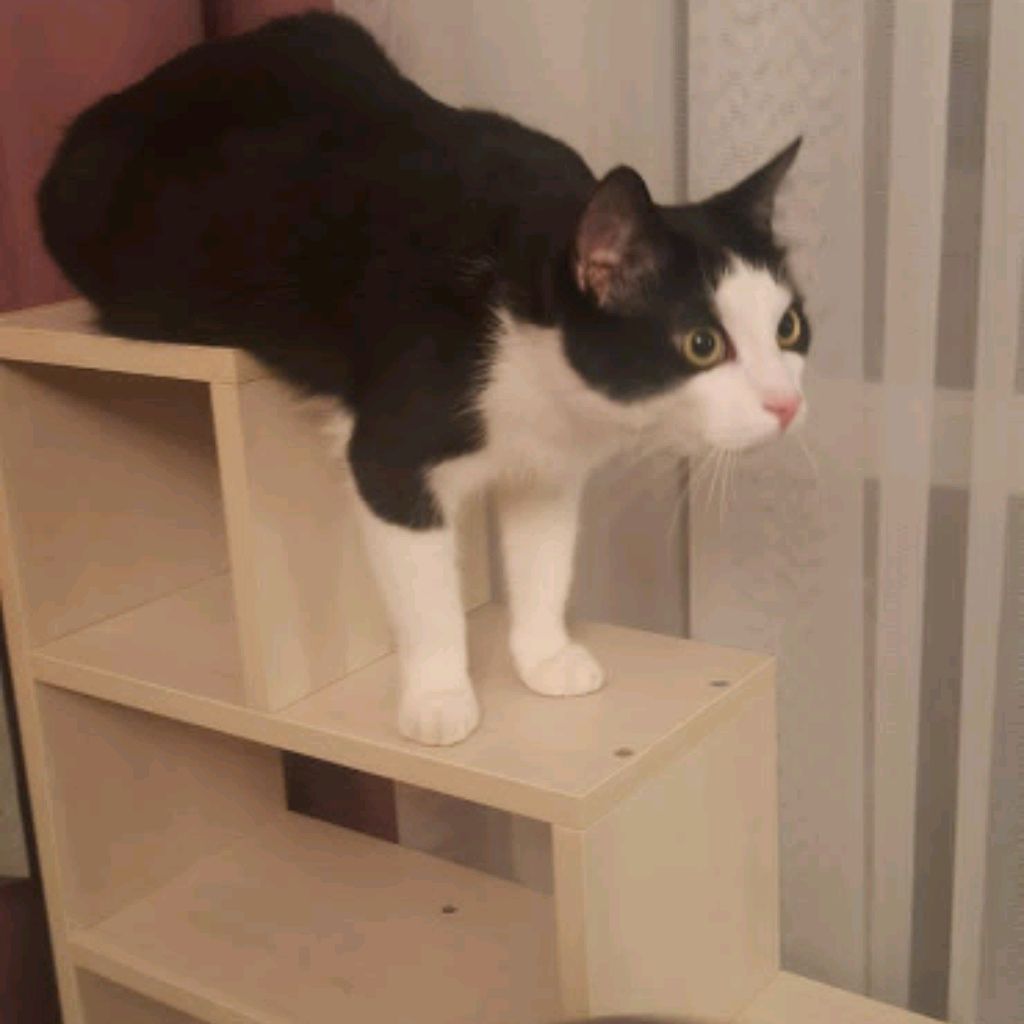 Иконка канала @ Klim 2016