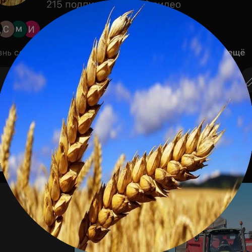 Иконка канала По полям