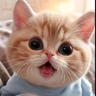 Иконка канала Lana - swet