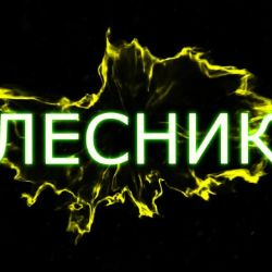 Иконка канала Л_Е_С_Н_И_К