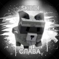 Иконка канала SkidibiSlava