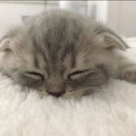 Иконка канала Лерок(∩´∀`∩)💕