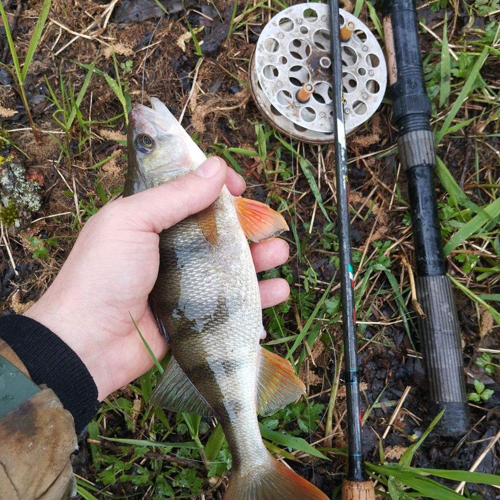 Иконка канала Рыбалка В Смоленской Области 🎣 и Не Только 🐟