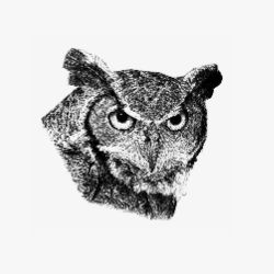Иконка канала OwlFilmsRu