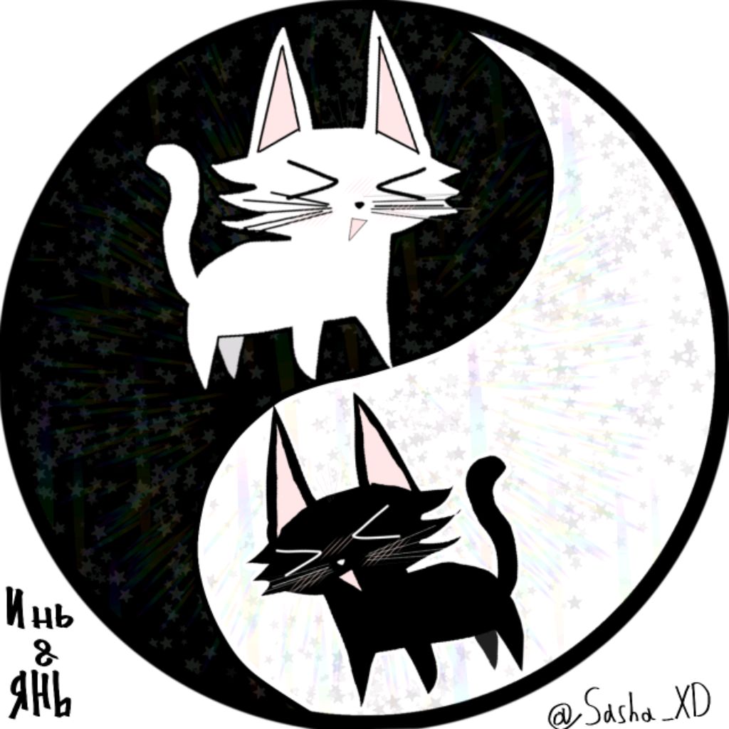 Иконка канала ✮｡°Sasha⋆𖦹°