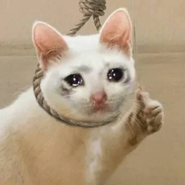 Иконка канала Найка🎮💎