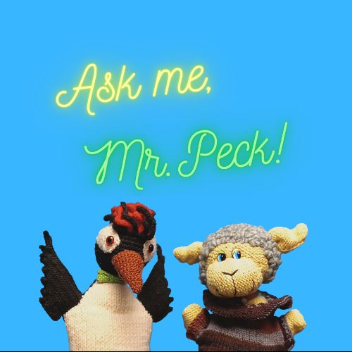 Иконка канала Ask me, Mr.Peck!
