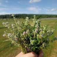 Иконка канала Занесло куда-то