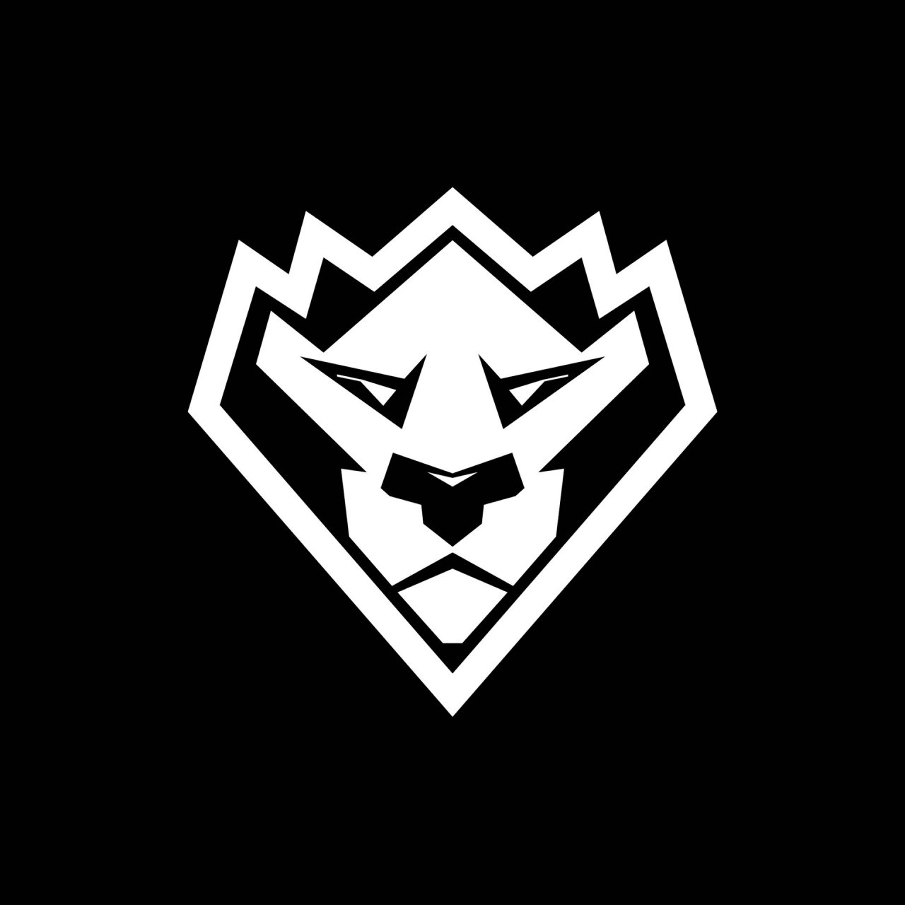 Иконка канала Elbrus Expert