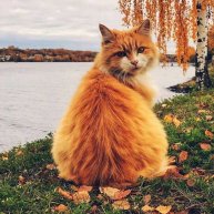 Иконка канала Юлия Канал для добрых людей