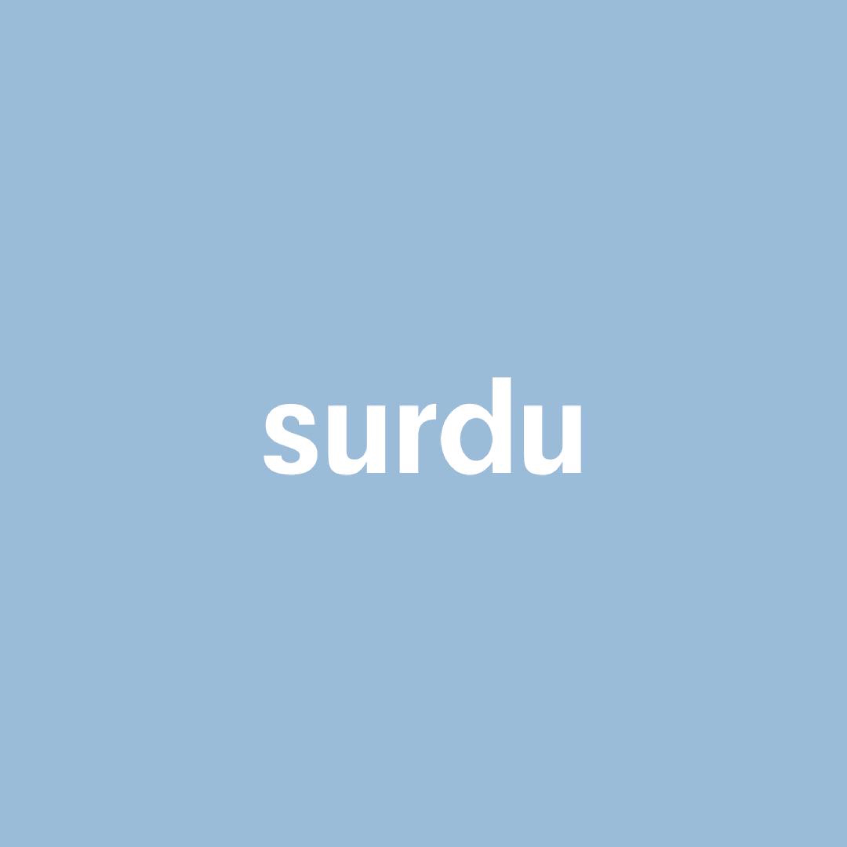 Иконка канала Surdushop