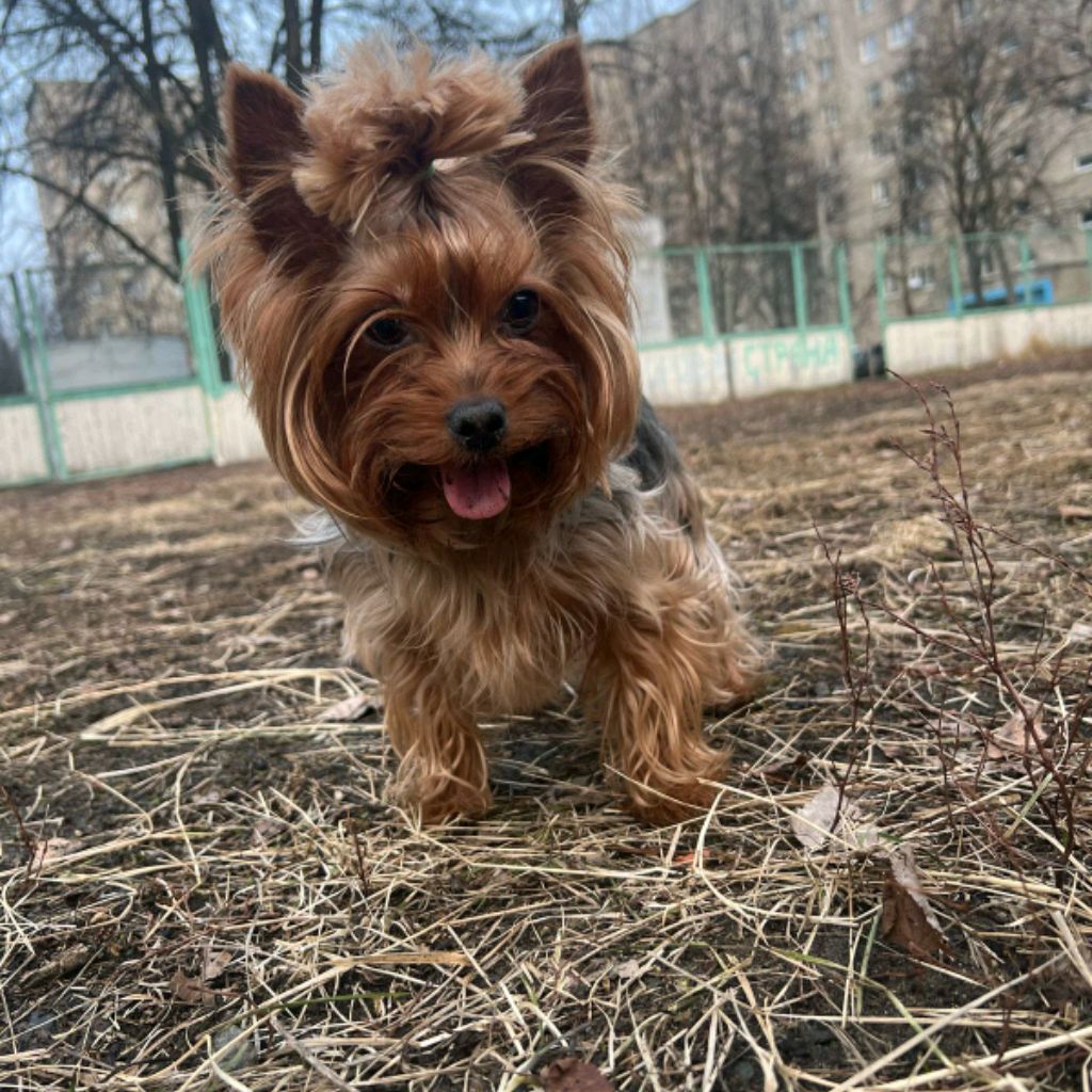 Иконка канала Круговорот Веществ 🧿