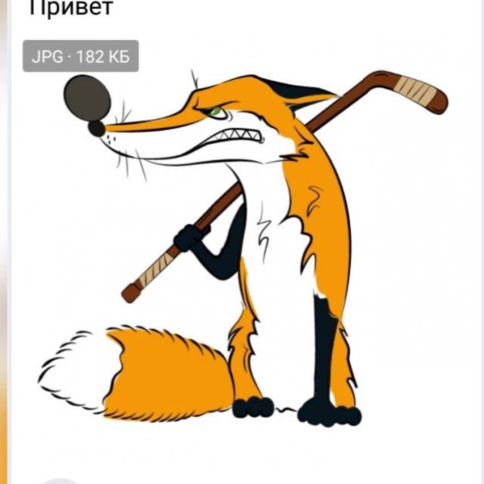 Иконка канала ХК Ночные лисы