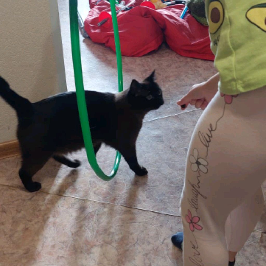 Иконка канала Еся китс