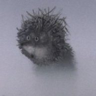 Иконка канала Ёжик в тумане