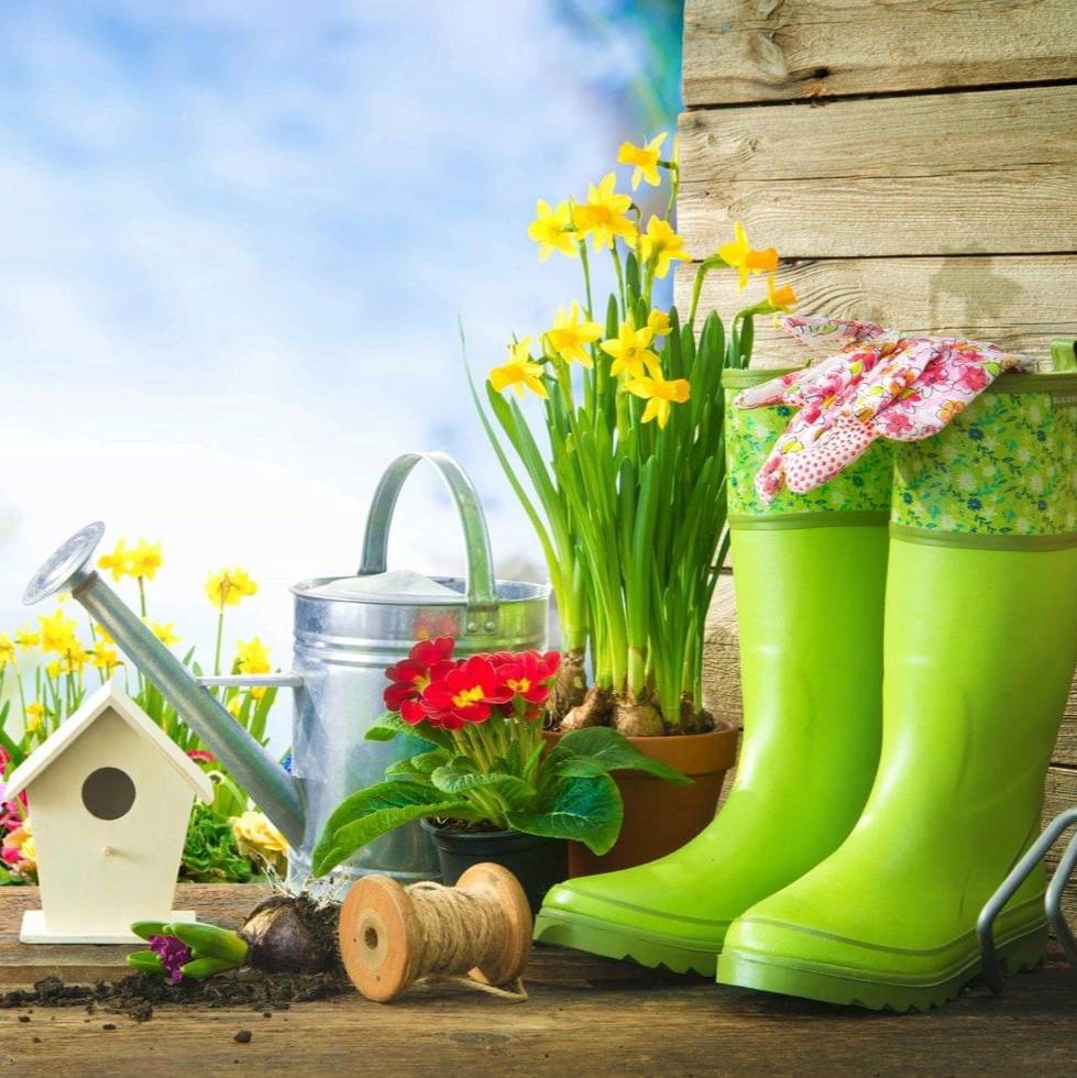 Иконка канала уДачные Советы