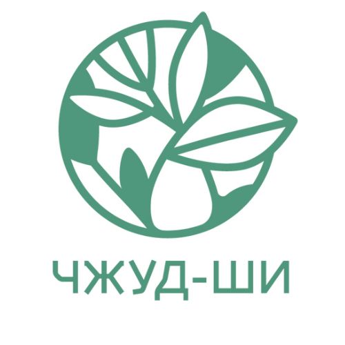Иконка канала channel66299988