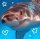 Иконка канала 🦈Акуленок🦈