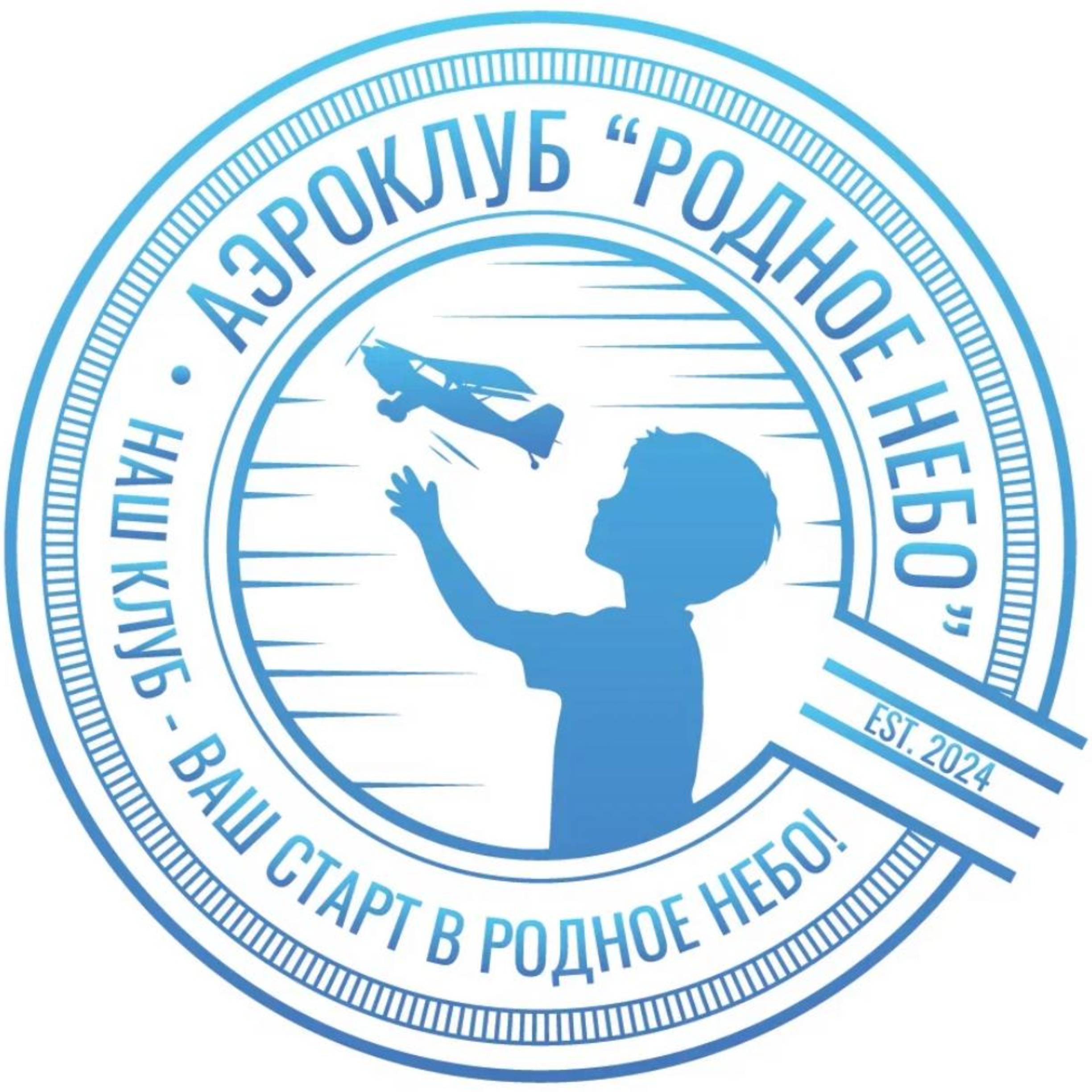 Иконка канала Родное небо: строим самолеты